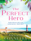 The Perfect Hero (eBook)
